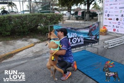 Run for Love 2024